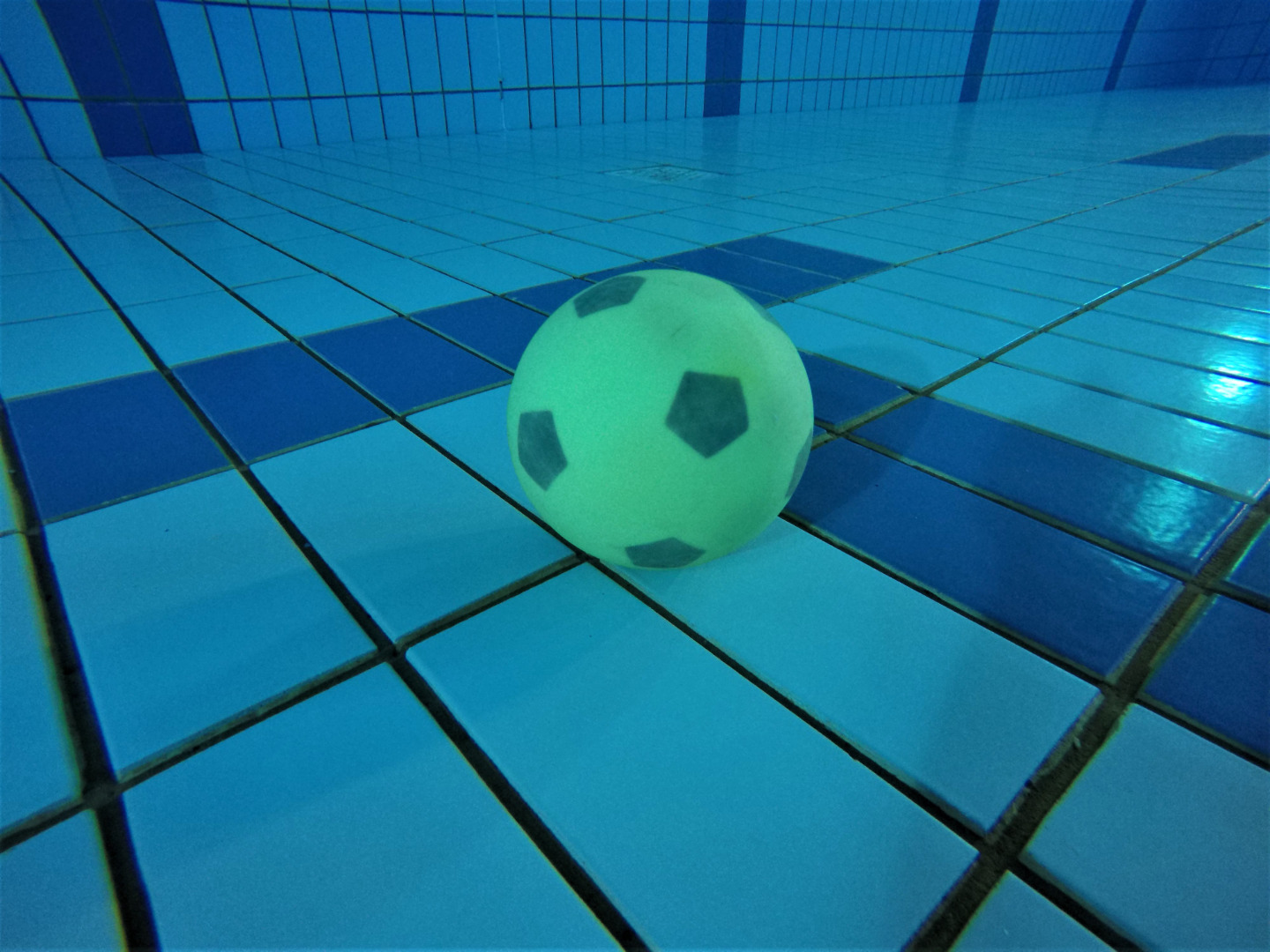 Welche Ausrüstung wird beim Unterwasser-Rugby benötigt?